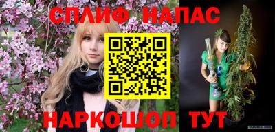 гашик Гусь-Хрустальный