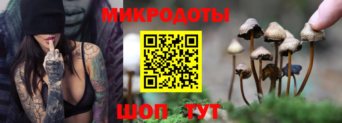 Галлюциногенные грибы мицелий  Вход с VPN  Ленинск-Кузнецкий 